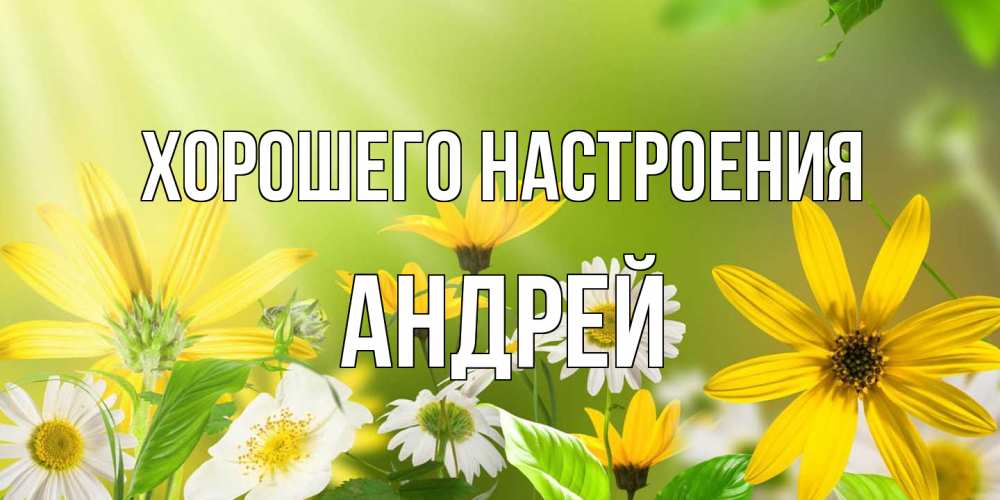 Открытка на каждый день с именем, Андрей Хорошего настроения цветы Прикольная открытка с пожеланием онлайн скачать бесплатно 