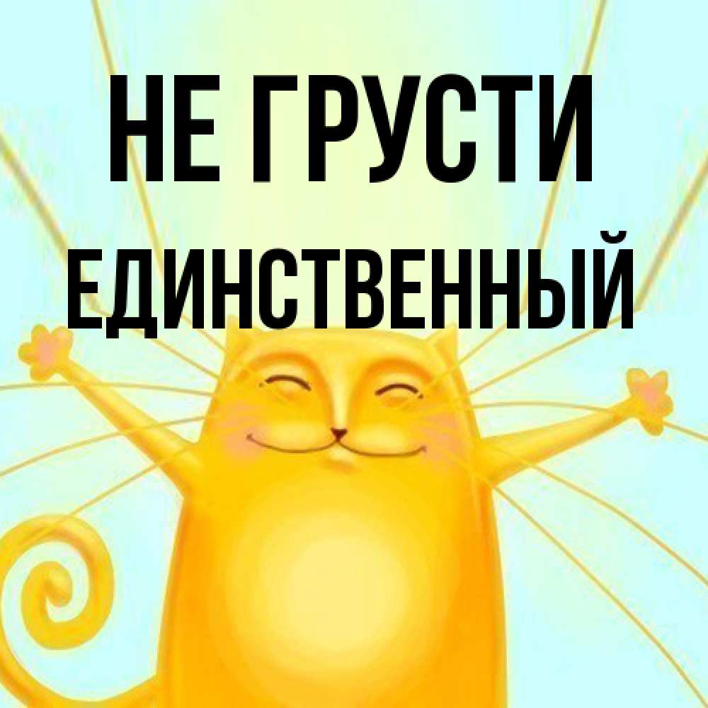 Открытка на каждый день с именем, Единственный Не грусти обнимашки усатые Прикольная открытка с пожеланием онлайн скачать бесплатно 