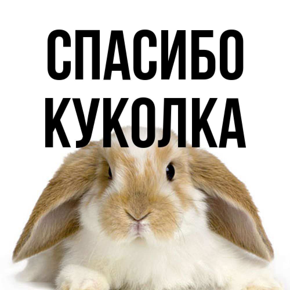 Открытка на каждый день с именем, Куколка Спасибо коричнево белый заяц Прикольная открытка с пожеланием онлайн скачать бесплатно 