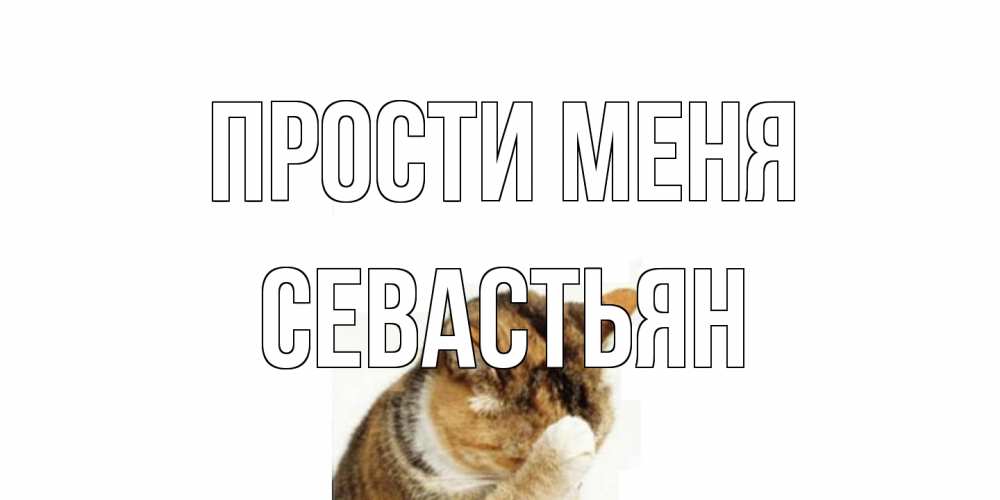 Открытка на каждый день с именем, Севастьян Прости меня кот Прикольная открытка с пожеланием онлайн скачать бесплатно 