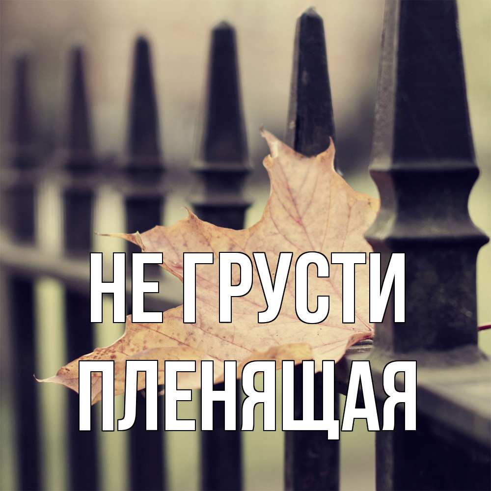 Открытка на каждый день с именем, пленящая Не грусти лист клена Прикольная открытка с пожеланием онлайн скачать бесплатно 