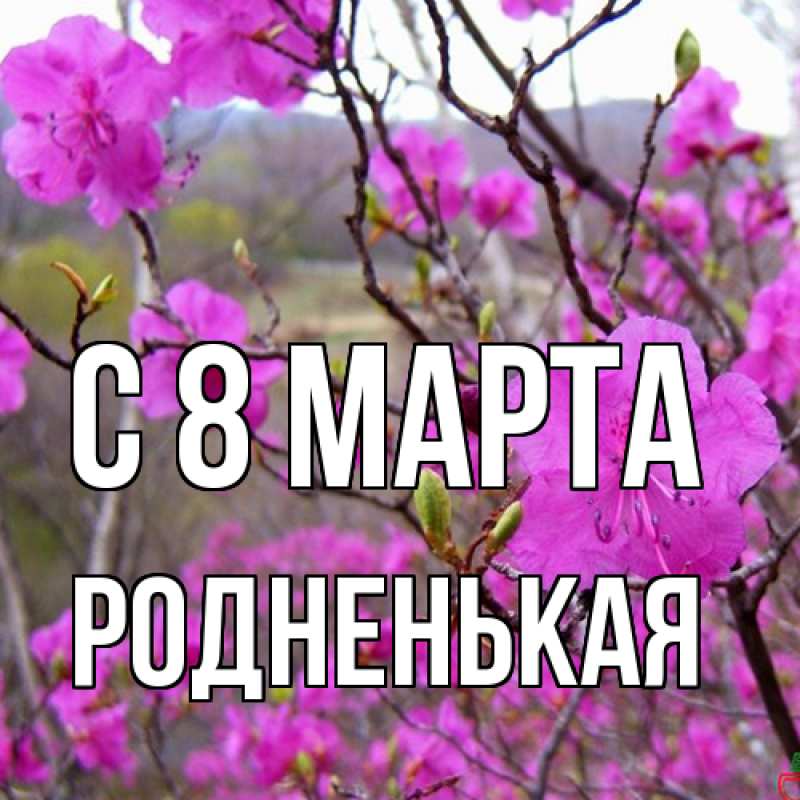Картинка C 8 МАРТА, Родненькая
