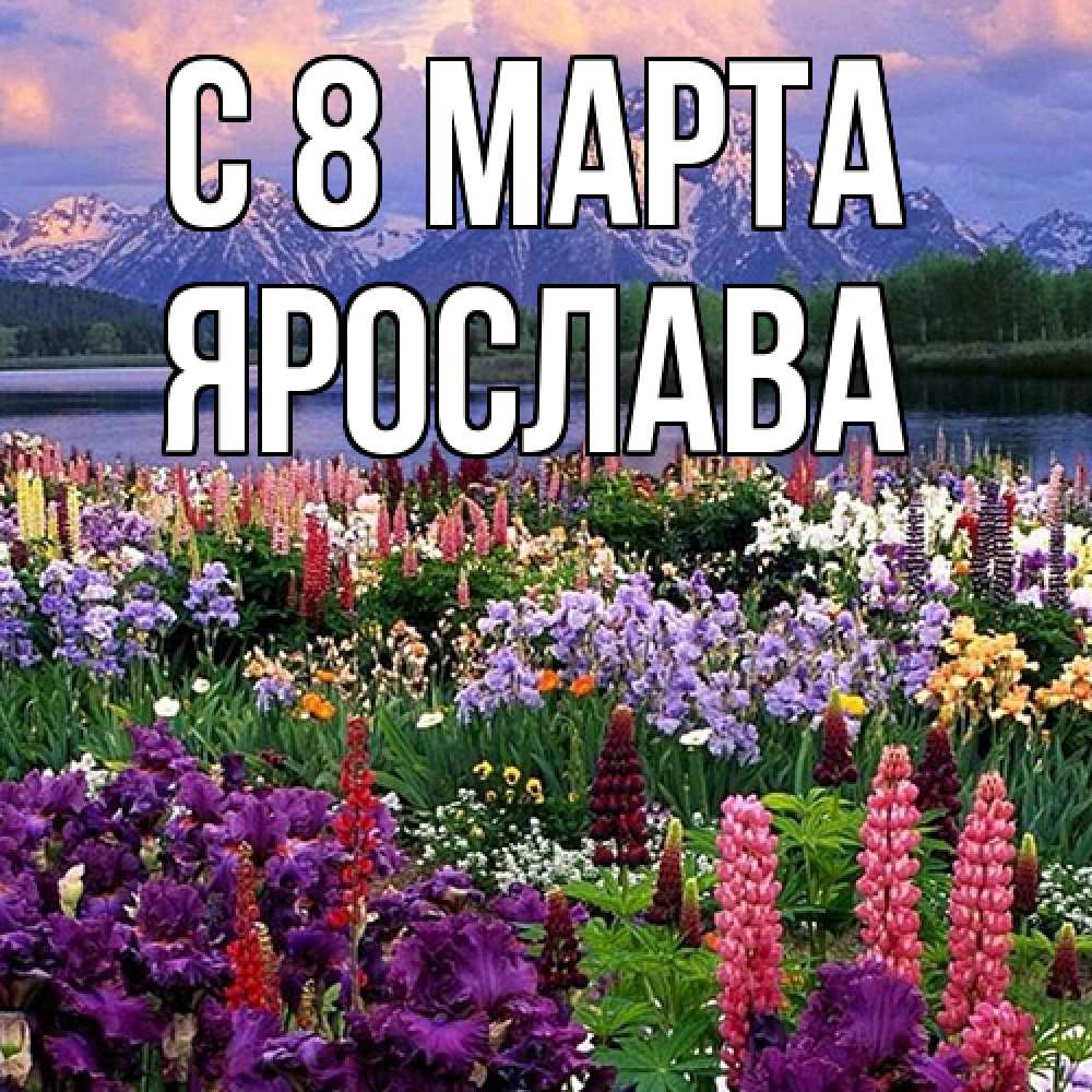 Открытка на каждый день с именем, Ярослава C 8 МАРТА международный женский день Прикольная открытка с пожеланием онлайн скачать бесплатно 