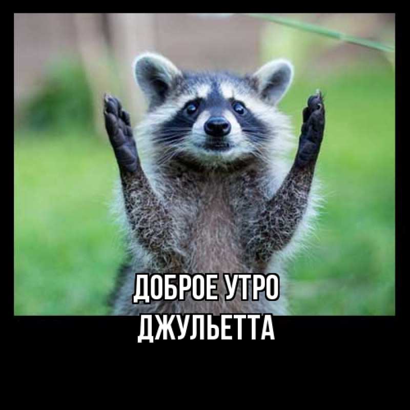 Картинка Доброе утро, Джульетта