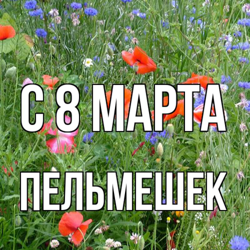 Картинка C 8 МАРТА, пельмешек