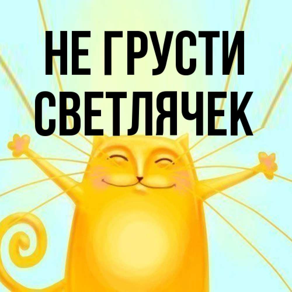 Открытка на каждый день с именем, Светлячек Не грусти обнимашки усатые Прикольная открытка с пожеланием онлайн скачать бесплатно 