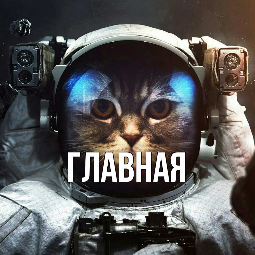 Открытка на каждый день с именем, настя Главная желает удачно добраться Прикольная открытка с пожеланием онлайн скачать бесплатно 