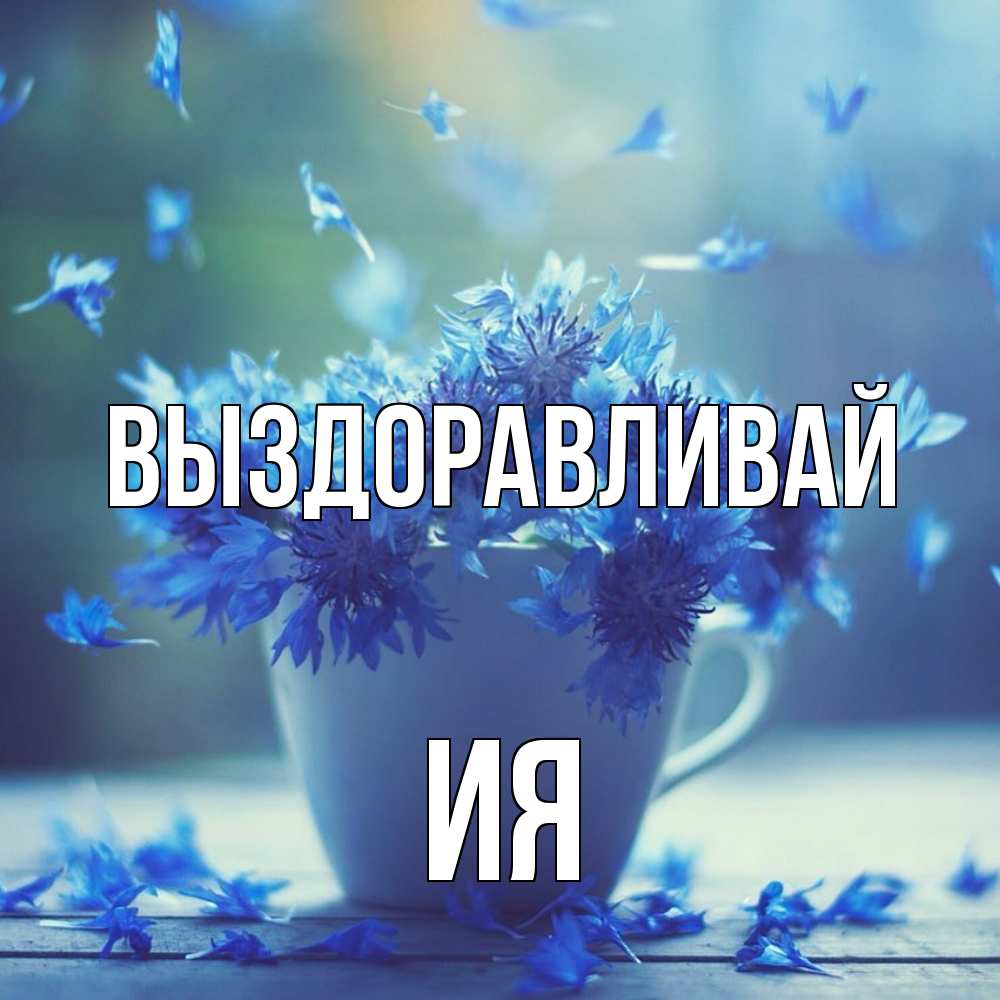 Открытка на каждый день с именем, Ия Выздоравливай кружка с зельем и цветами Прикольная открытка с пожеланием онлайн скачать бесплатно 