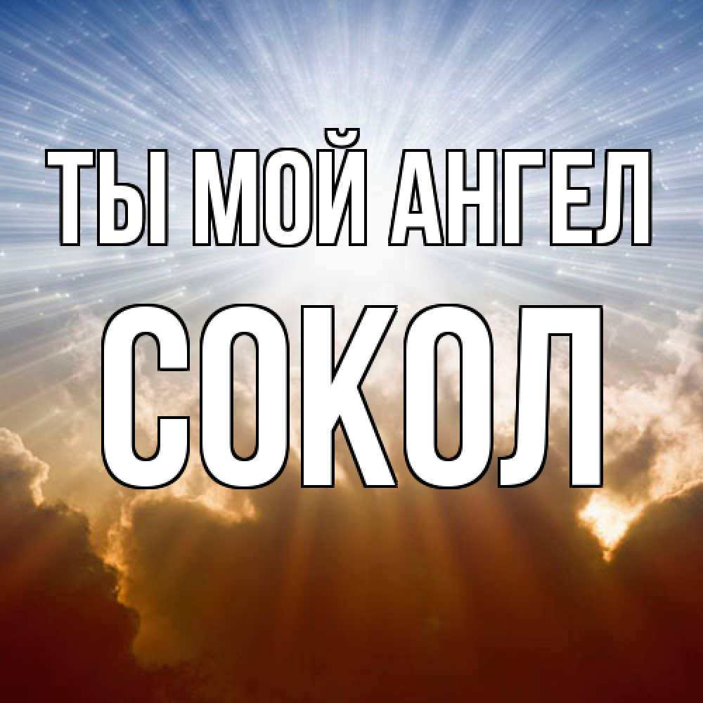 Открытка на каждый день с именем, Сокол Ты мой ангел ангельский свет на небе Прикольная открытка с пожеланием онлайн скачать бесплатно 