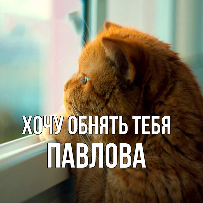 Картинка Хочу обнять тебя, Павлова