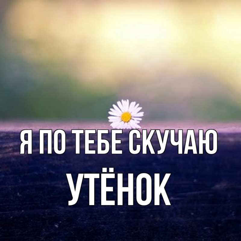 Картинка Я по тебе скучаю, Утёнок