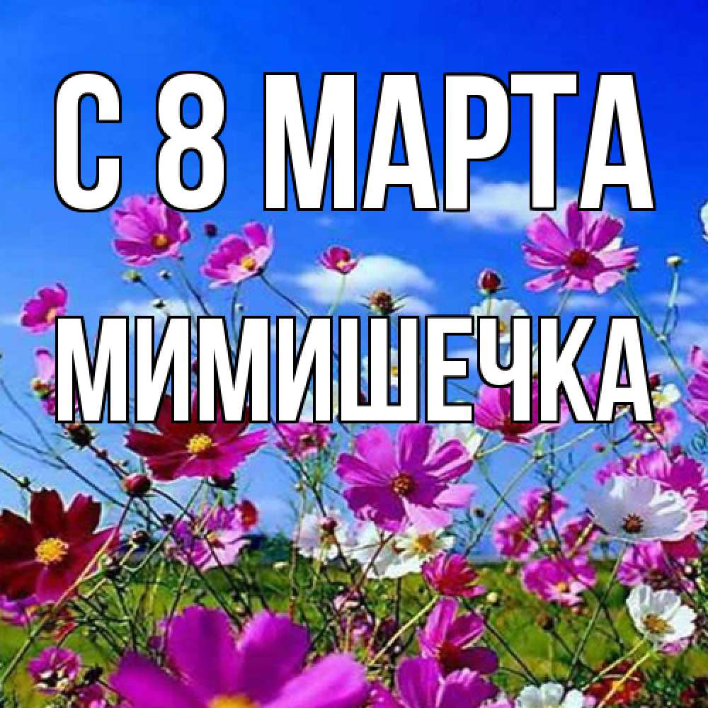 Открытка на каждый день с именем, мимишечка C 8 МАРТА цветы Прикольная открытка с пожеланием онлайн скачать бесплатно 