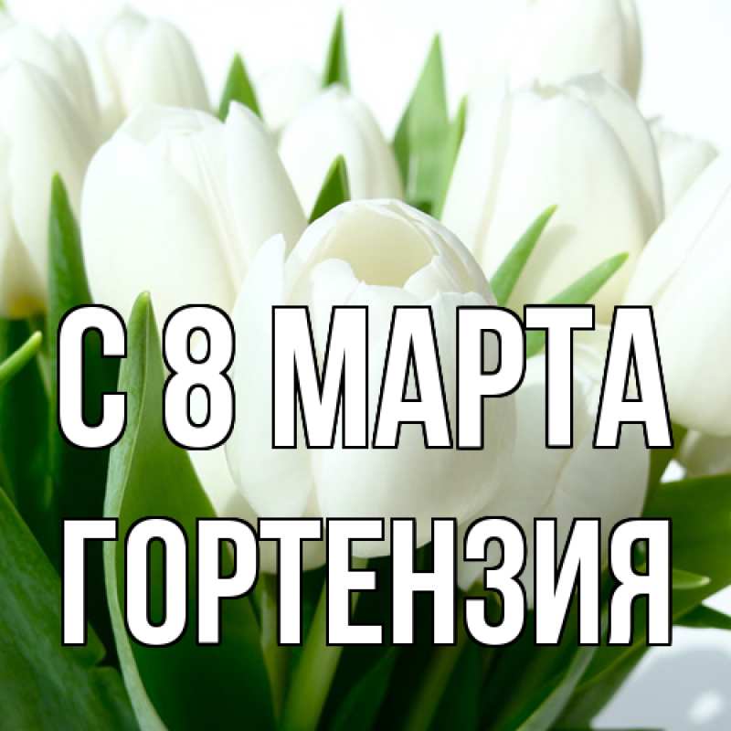 Картинка C 8 МАРТА, Гортензия