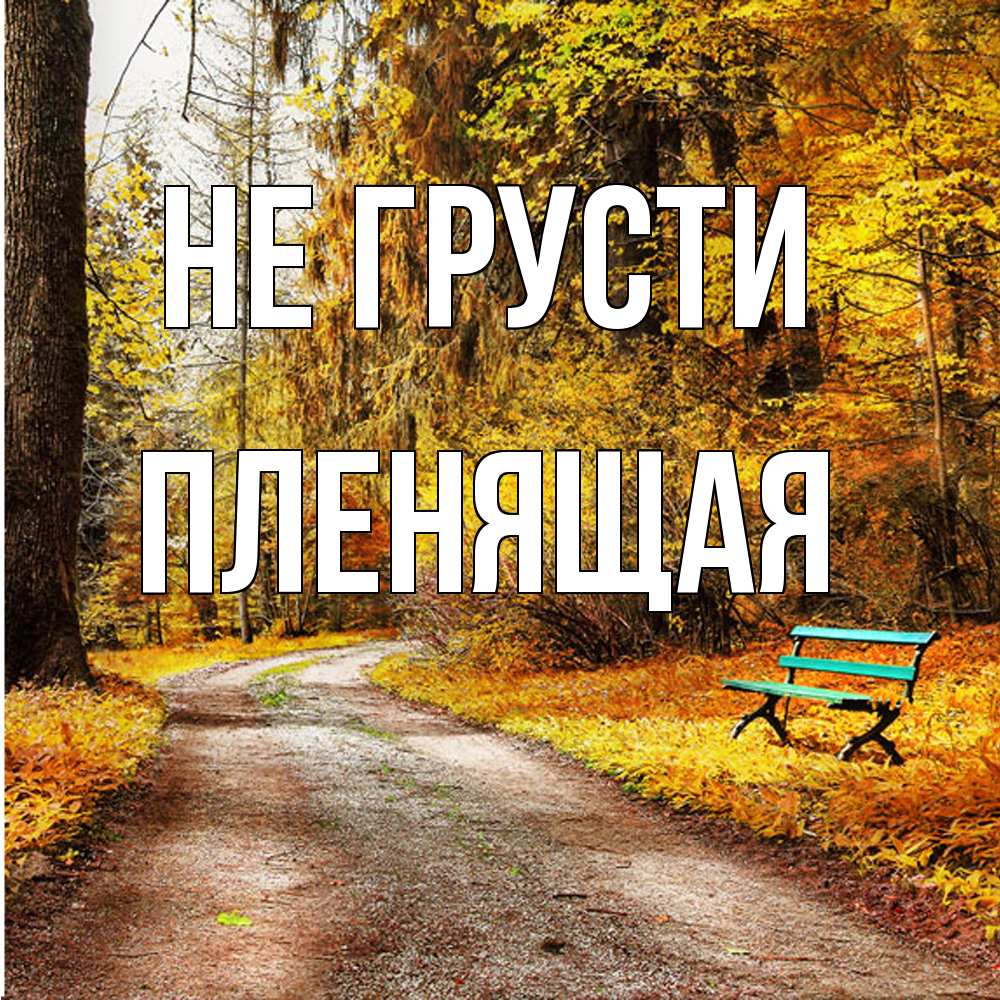 Открытка на каждый день с именем, пленящая Не грусти зеленая лавочка Прикольная открытка с пожеланием онлайн скачать бесплатно 