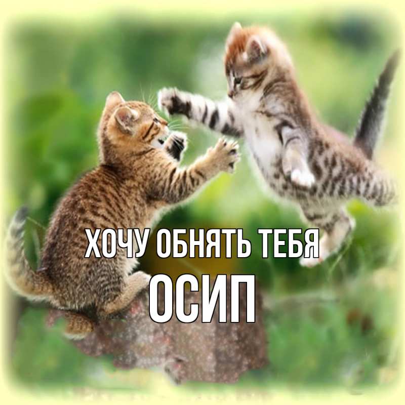 Картинка Хочу обнять тебя, Осип