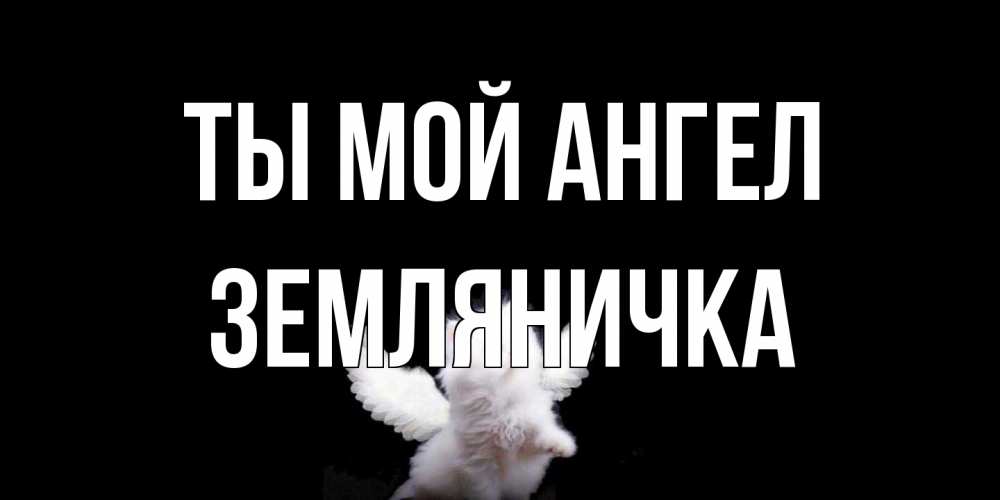 Открытка на каждый день с именем, Земляничка Ты мой ангел Кот ангел Прикольная открытка с пожеланием онлайн скачать бесплатно 