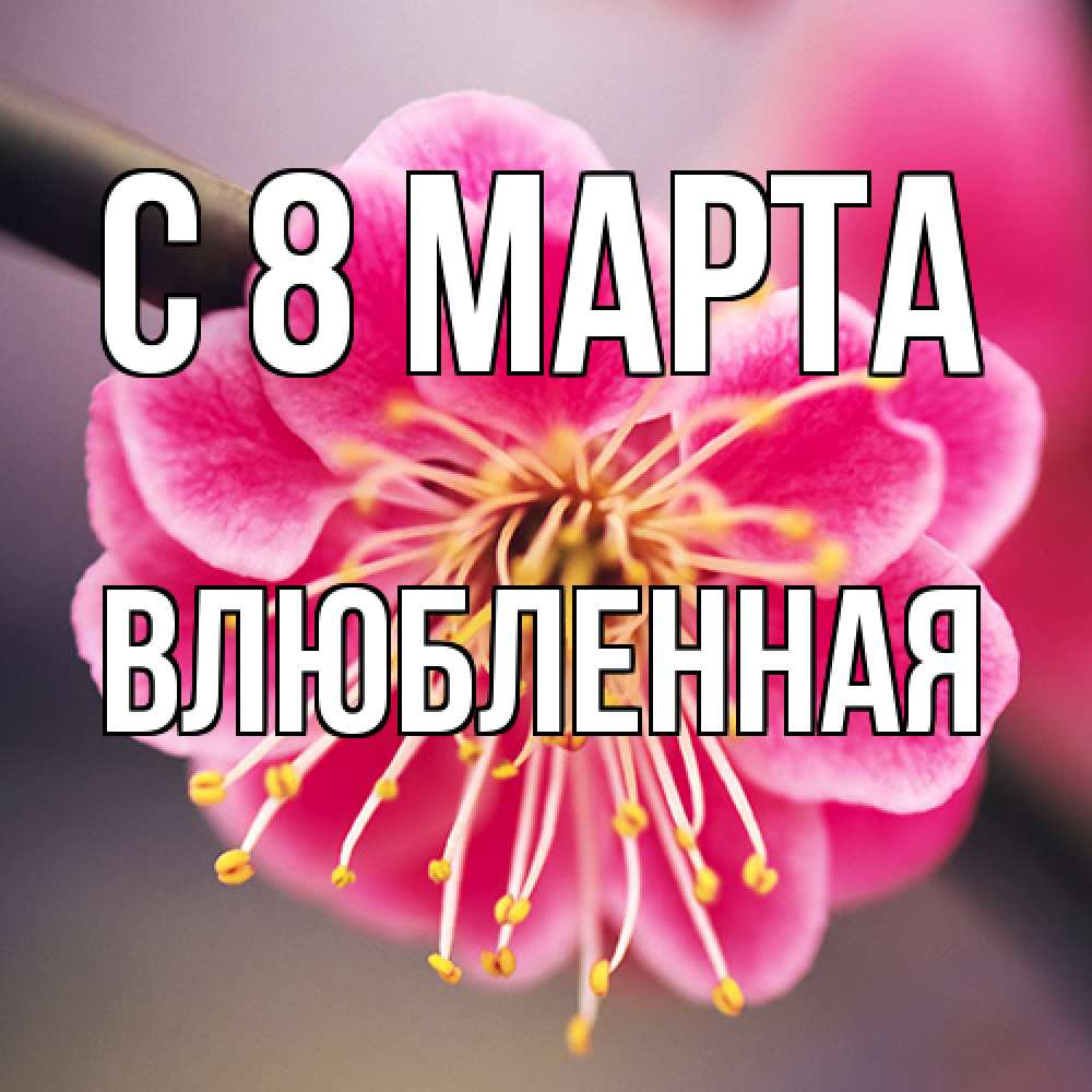 Открытка на каждый день с именем, Влюбленная C 8 МАРТА цветы Прикольная открытка с пожеланием онлайн скачать бесплатно 