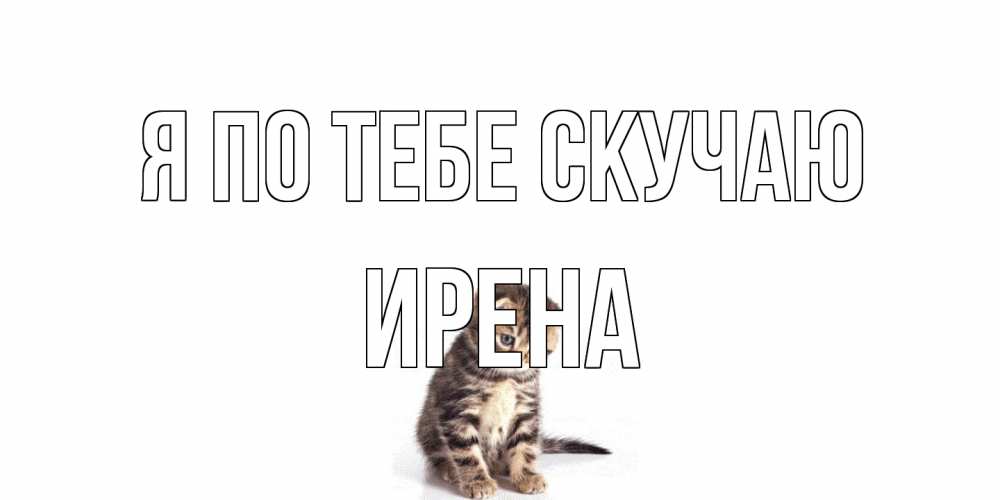 Открытка на каждый день с именем, Ирена Я по тебе скучаю кот Прикольная открытка с пожеланием онлайн скачать бесплатно 