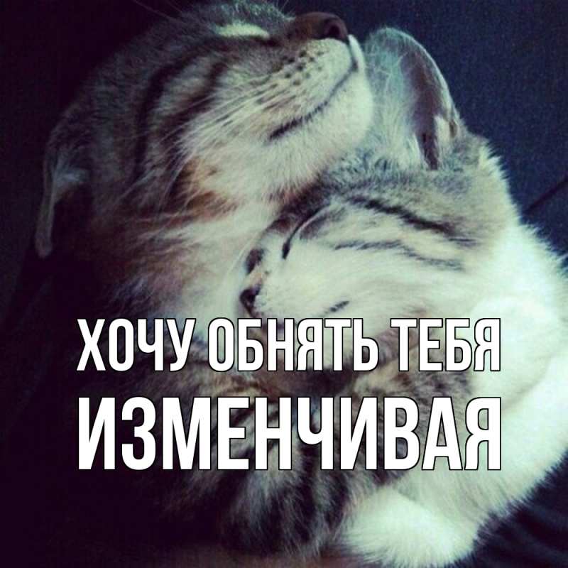 Картинка Хочу обнять тебя, изменчивая