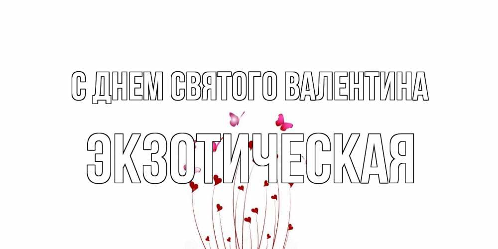 Открытка на каждый день с именем, Экзотическая С днем Святого Валентина валентинку подписать онлайн на день всех влюбленных Прикольная открытка с пожеланием онлайн скачать бесплатно 