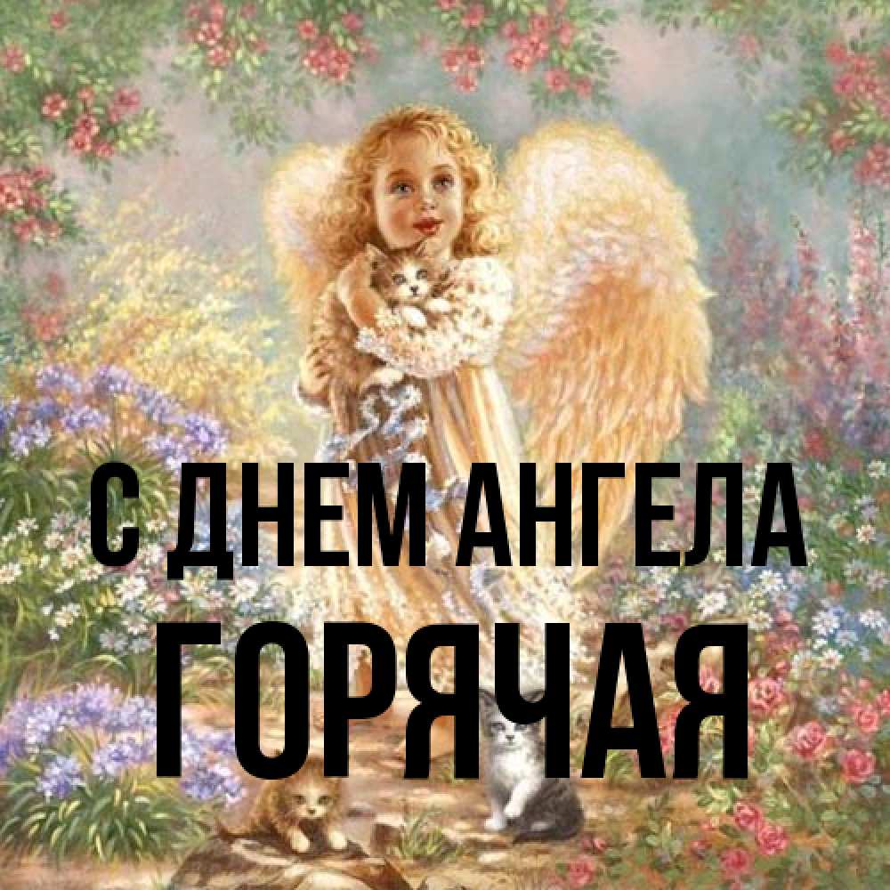 Открытка на каждый день с именем, горячая С днем ангела держит котенка Прикольная открытка с пожеланием онлайн скачать бесплатно 