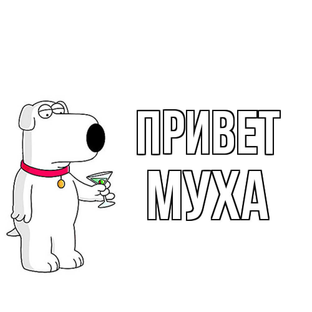 Открытка на каждый день с именем, Муха Привет собака и коктейль Прикольная открытка с пожеланием онлайн скачать бесплатно 