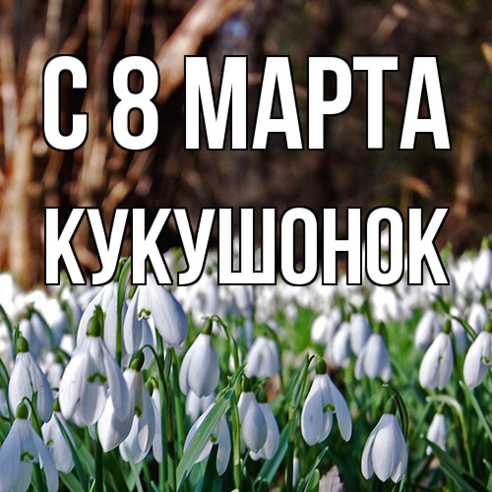 Открытка на каждый день с именем, кукушонок C 8 МАРТА с подснежниками 1 Прикольная открытка с пожеланием онлайн скачать бесплатно 