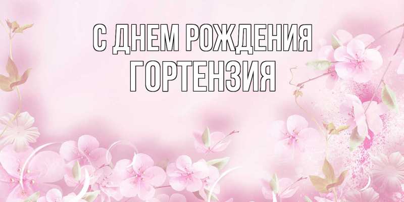 Картинка С днем рождения, Гортензия