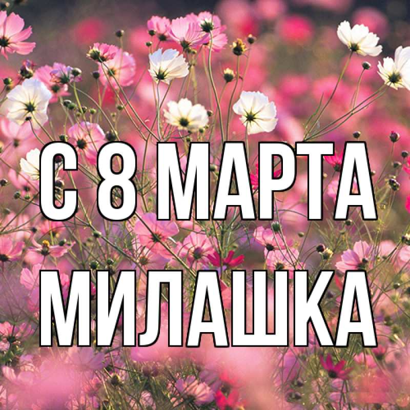 Картинка C 8 МАРТА, Милашка
