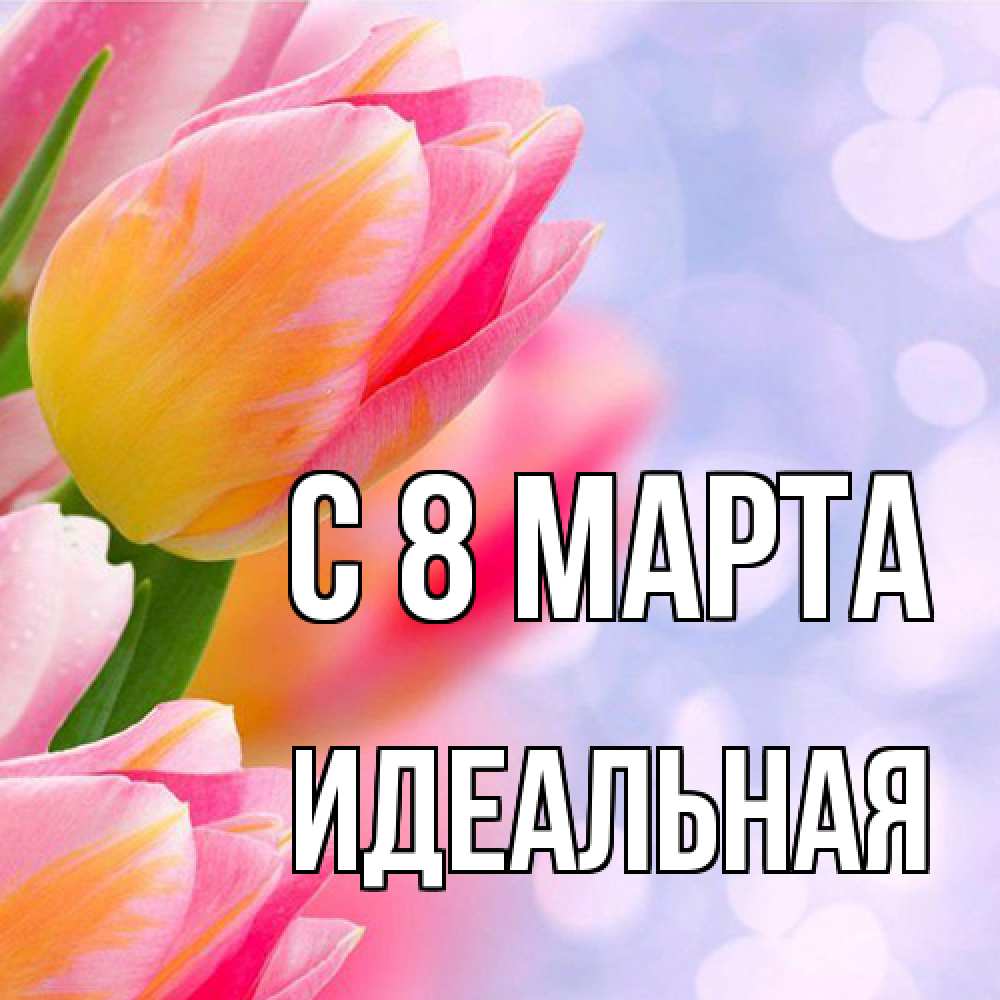 Открытка на каждый день с именем, идеальная C 8 МАРТА тюльпаны 2 Прикольная открытка с пожеланием онлайн скачать бесплатно 