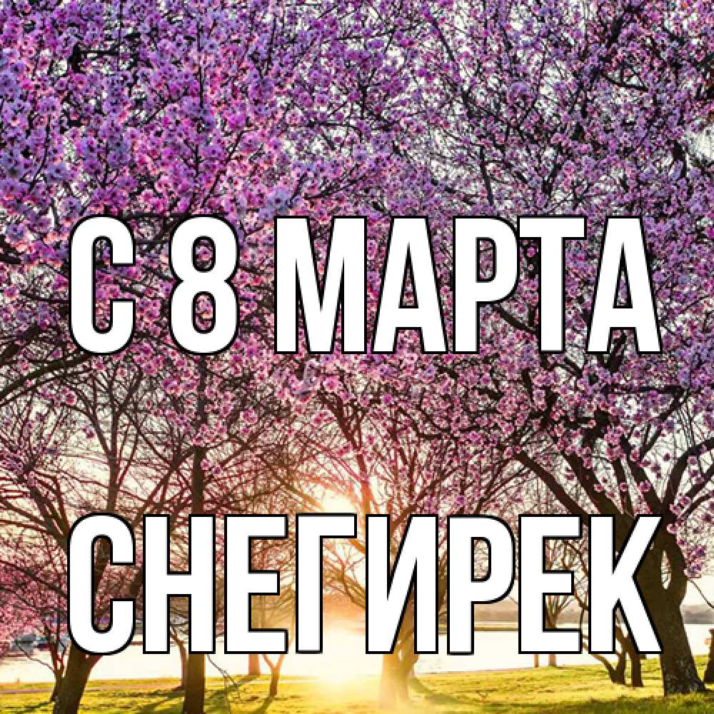 Открытка на каждый день с именем, снегирек C 8 МАРТА международный женский день Прикольная открытка с пожеланием онлайн скачать бесплатно 