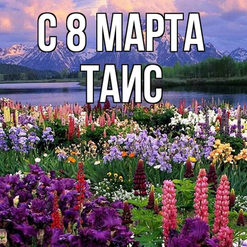 Картинка C 8 МАРТА, Таис