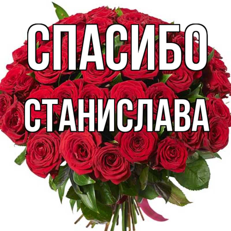 Картинка Спасибо, Станислава