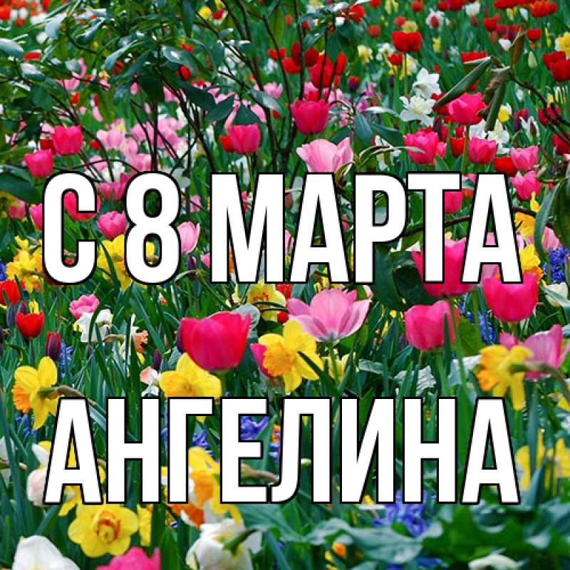 Картинка C 8 МАРТА, ангелина