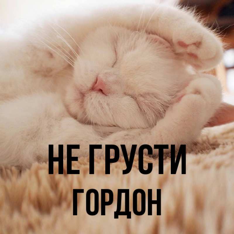 Картинка Не грусти, Гордон