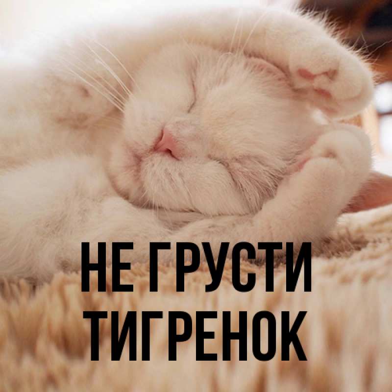 Картинка Не грусти, Тигpенок
