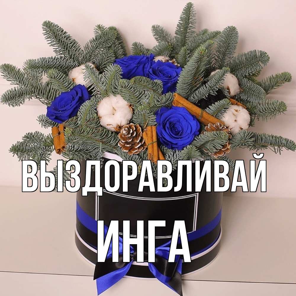 Открытка на каждый день с именем, Инга Выздоравливай короче кто то загрузил эти шишки Прикольная открытка с пожеланием онлайн скачать бесплатно 