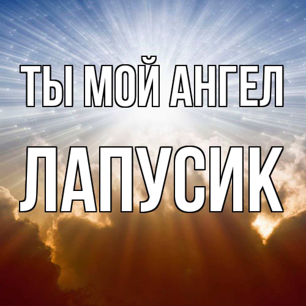 Открытка на каждый день с именем, Лапусик Ты мой ангел ангельский свет на небе Прикольная открытка с пожеланием онлайн скачать бесплатно 