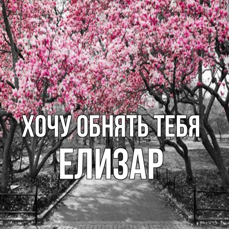 Картинка Хочу обнять тебя, Елизар