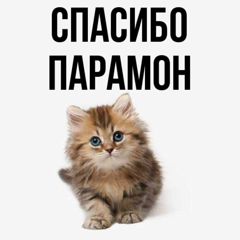 Картинка Спасибо, Парамон