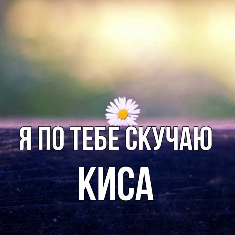 Картинка Я по тебе скучаю, Киса