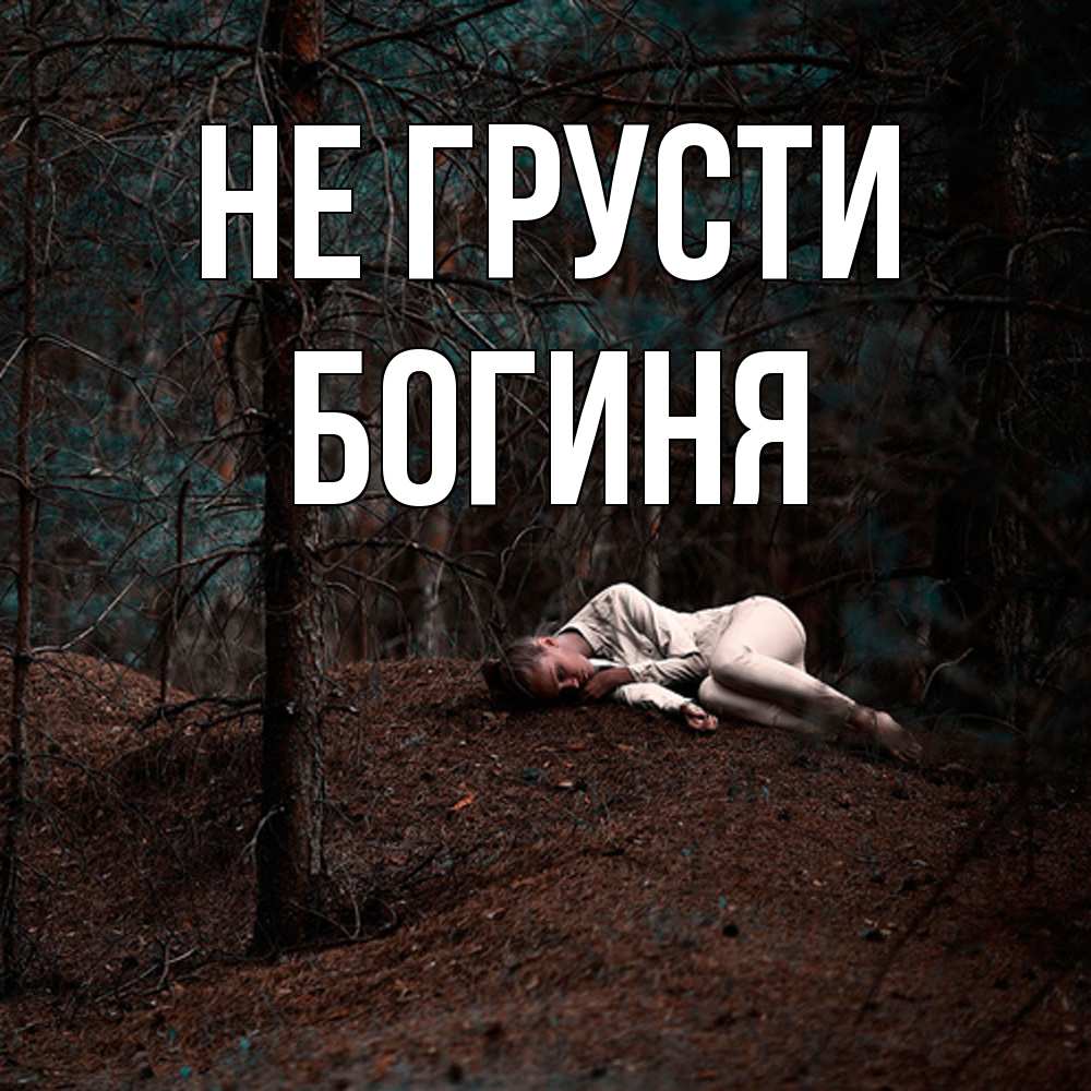 Открытка на каждый день с именем, Богиня Не грусти лес Прикольная открытка с пожеланием онлайн скачать бесплатно 