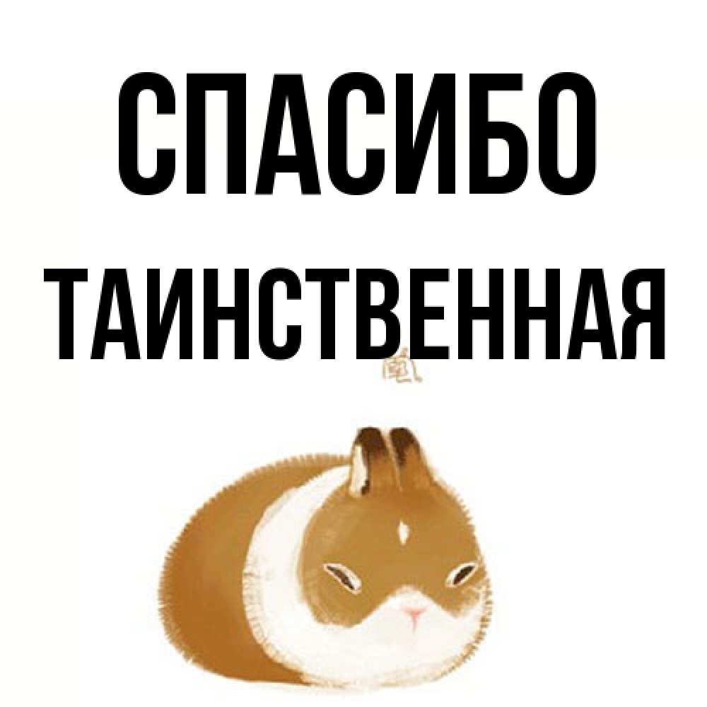 Открытка на каждый день с именем, таинственная Спасибо коричнево белый домашний питомец Прикольная открытка с пожеланием онлайн скачать бесплатно 