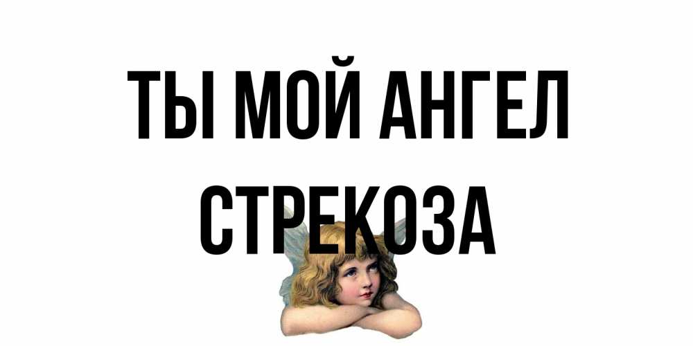 Открытка на каждый день с именем, Стрекоза Ты мой ангел ангел Прикольная открытка с пожеланием онлайн скачать бесплатно 