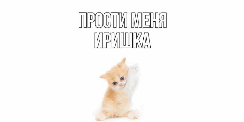 Картинка Прости меня, Иришка