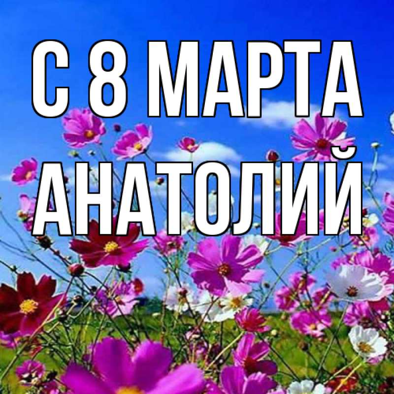 Картинка C 8 МАРТА, Анатолий