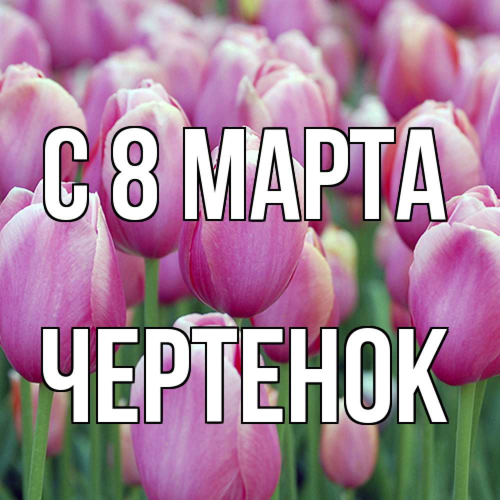 Открытка на каждый день с именем, чеpтенок C 8 МАРТА на международный женский день 3 Прикольная открытка с пожеланием онлайн скачать бесплатно 