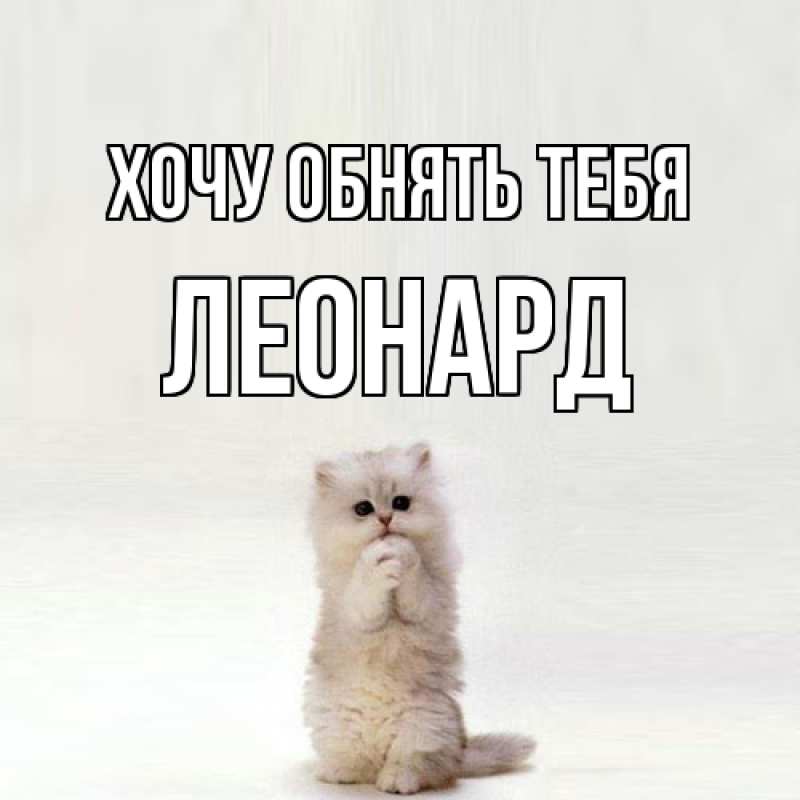 Картинка Хочу обнять тебя, Леонард