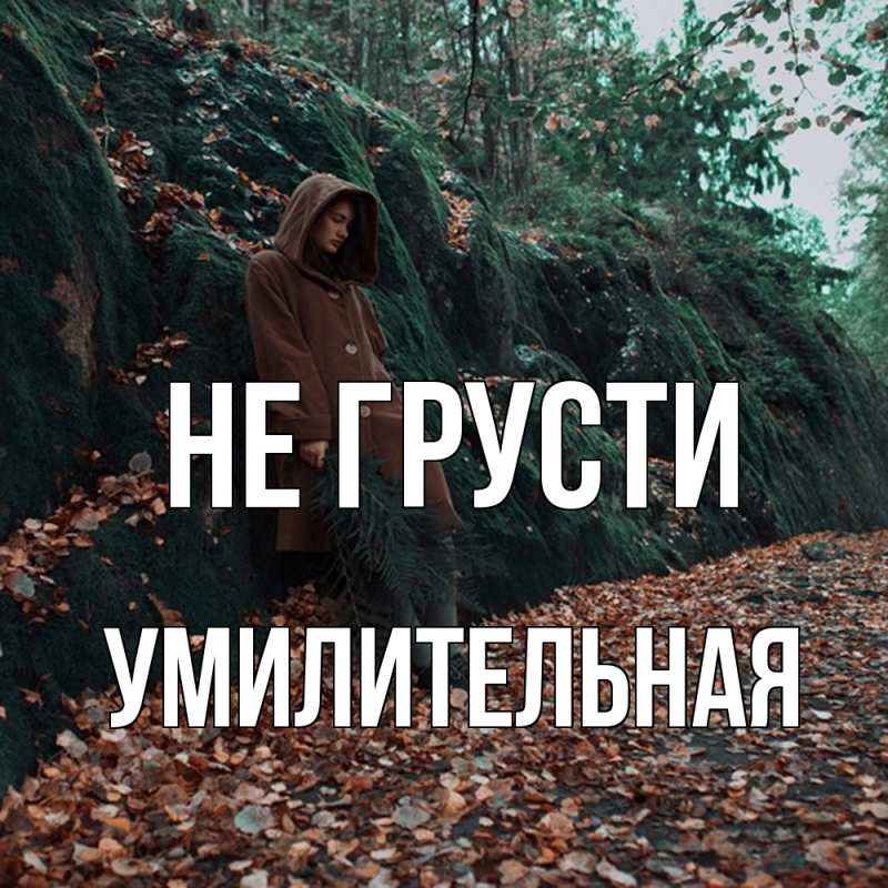 Картинка Не грусти, умилительная