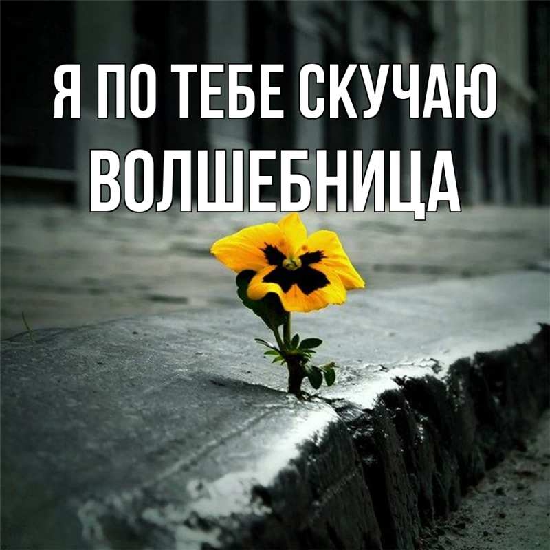 Картинка Я по тебе скучаю, волшебница